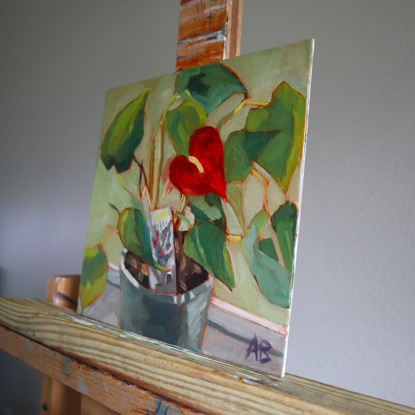 Red anthuriums