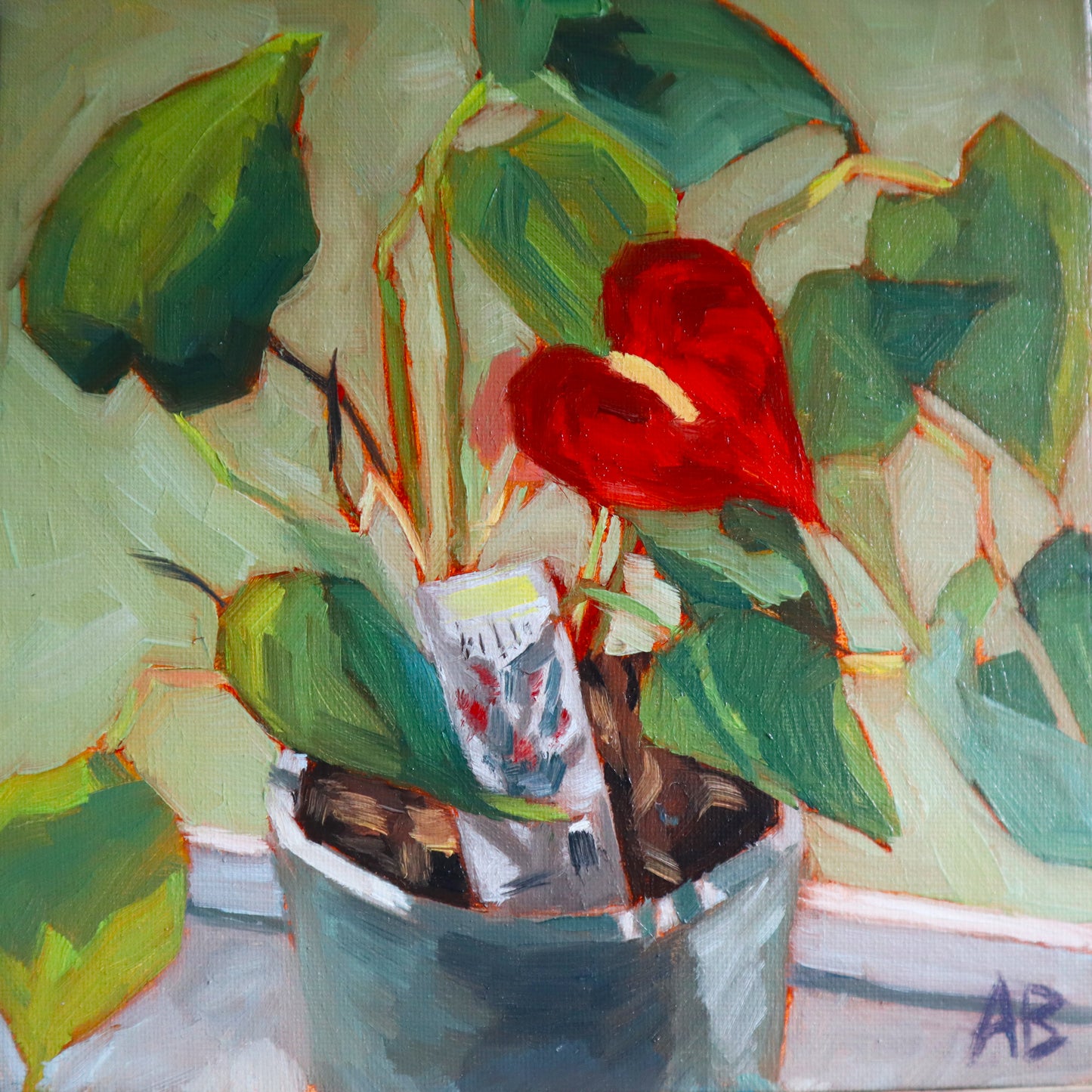 Red anthuriums