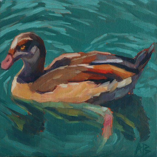 Duck, duck, egyptian goose